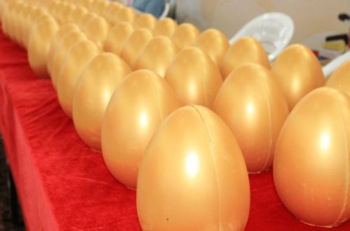 現代日用百貨城全新亮相，浙江食品市場再添消費新地標