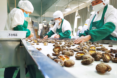 百興食品 風口搶'鮮'，預制菜香飄海內外